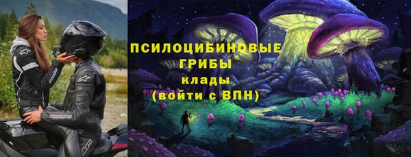 а пвп мука Нея