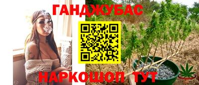 гашик Абинск