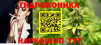 apvp Кимры