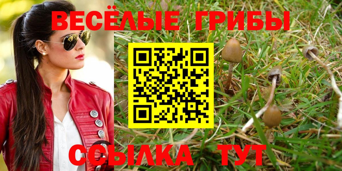 Псилоцибиновые грибы мицелий Якутск
